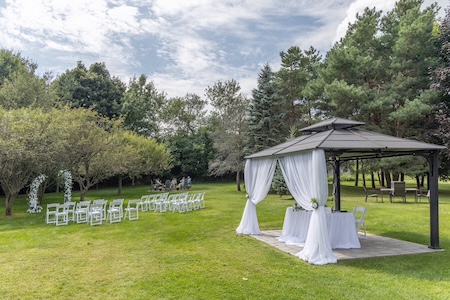 Wide view of backyard