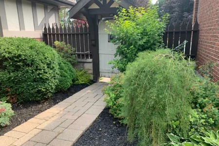 Gate between houses